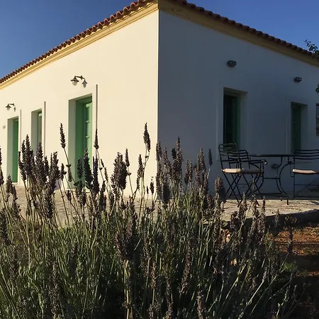 Guest house Lemonia - 4*