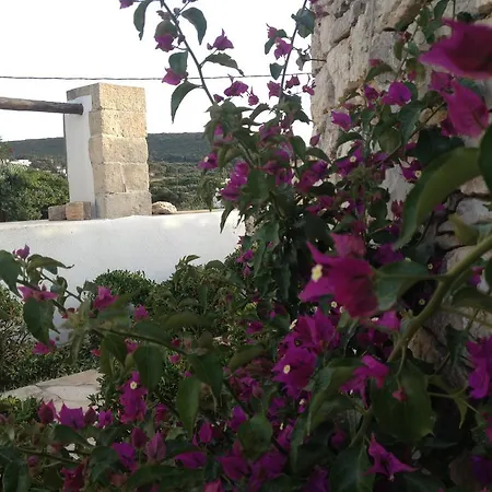 Guest house Lemonia - Aroniadika